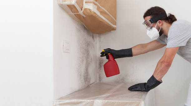 Professional Bathroom Mold Removal technician working in Three Oaks, FL